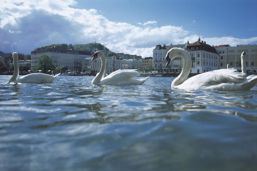 Landhotel Gruenberg Am See Гмунден Екстериор снимка